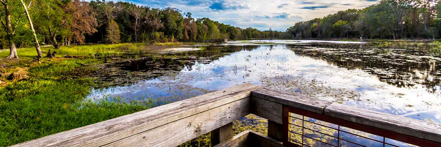 fishing dock at creekfield lake in brazos bend state park, tx